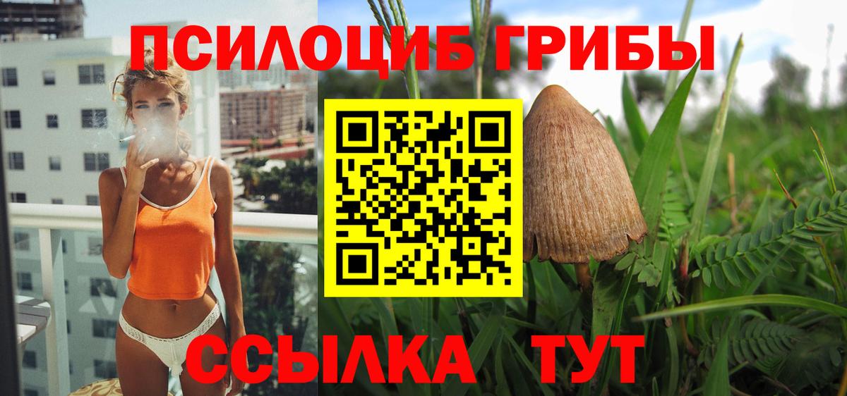 Галлюциногенные грибы Psilocybe  Вход с VPN  купить наркотик  Чусовой 
